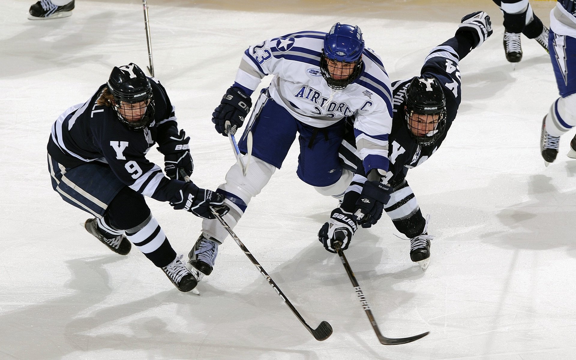 开云电竞app-“运动舞蹈：舞步间的爆发力和灵巧度，金牛区城北体育馆见证精彩时刻”